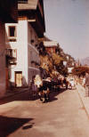 Almabtrieb vom Sarstein - Sarsteinalm Bad Goisern